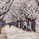 양평1동-4 이미지