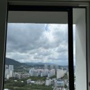 퍼펙트쉴드