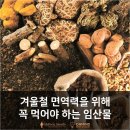 하이풀 스포츠 이미지