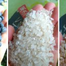 삼종농장 이미지