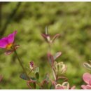 하늘꽃한의원 이미지