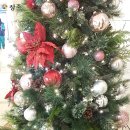 크라운하버호텔 부산 이미지