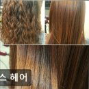 심스헤어 - 울주군 | 심스헤어