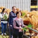 만희농장 이미지