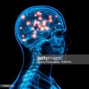 경희상생한의원 | 초콜릿 먹고 짭잘한 과자까지… '단짠'이 땡기는 과학적 이유