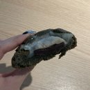 YOON FOREST 이미지