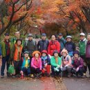 328회 남산둘레길 산행기와 11/25 산행 안내 이미지