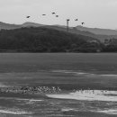 우포의 숲속 이미지