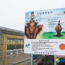 이성관농장 뉴시스