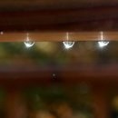 들꽃마을 이미지