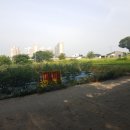 코아루부자공인중개사사무소 이미지