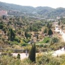 충주시 공설묘지 이미지