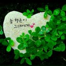 화개농원 이미지