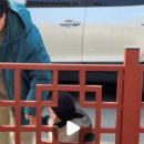 경주현대유스타운 네이버블로그