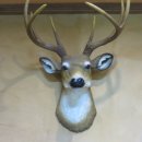 용담돌집민박 이미지