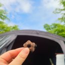 금오산 오토캠핑장 이미지