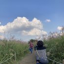 하늘공원 이미지