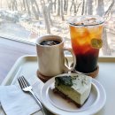 카페슬로우 | 애견동반가능 강화도 카페, 슬로우레인 방문 솔직후기