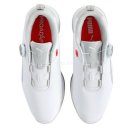 에이스 캣 이미지