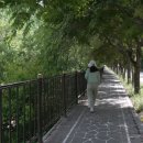 분설담화장실 이미지