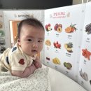 하비함미 이미지