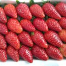 Body Master Gym 이미지