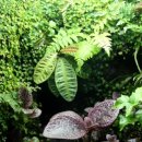 애니멀리움 이미지