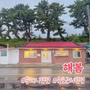 3486 | 동해 펜션 파도 소리가 들리는 단독 독채 오션뷰 펜션 해봄 솔직후기