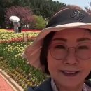 가수남순♡낭군님 튜울립과 함께 이미지