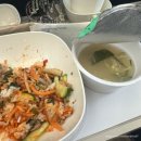 372 | 내슈빌에서 시애틀, 시애틀에서 인천 귀국 항공 후기 (DL372, DL7838, 기내식, 시애틀 경유)