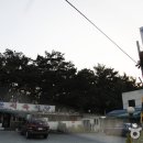 옛진못식육식당 이미지