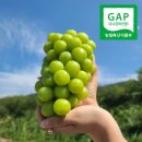 영동우체국 이미지