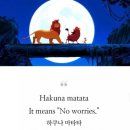 하쿠나마타타 이미지