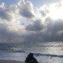 대천에코펜션 이미지