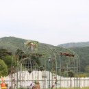 터널게이트(나) 이미지