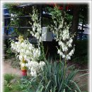 토마스펜션 이미지