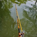 용성좌대 이미지