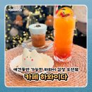 하와더카페 | 애견동반 가능한 하와이 감성 오션뷰까지 더해진 인천 대부도 하와이다 카페 내돈내산 후기