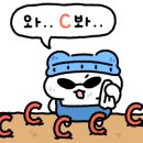 베이프데이