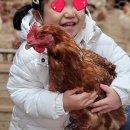 아빠사랑팜 이미지