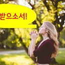 생태적 기도 - 교황 회칙 "찬미받으소서"와 함께하는 생태영성 40주간 40강의 이미지