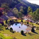 매봉힐링캠프 이미지