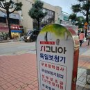 독일보청기 앞 보도 | &#34;시그니아독일보청기 삼척센터&#34;에서 어머님 보청기 점검 다녀온 후기 💕