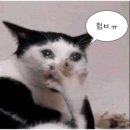해밀 프라자 | [양주 덕정] 민에스테 인생 첫 브라질리언왁싱 후기 | 하드왁싱 후기