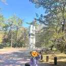 제주불교성지 순례길 절로 가는길 - 정진의 길 이미지