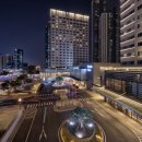 소노캄 고양 이미지