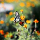 요셉의집 이미지