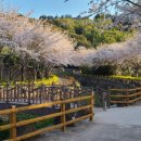 서홍동-12 이미지