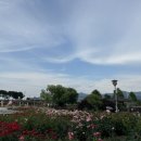 곡성-193 이미지