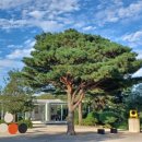 바우지움조각미술관 이미지